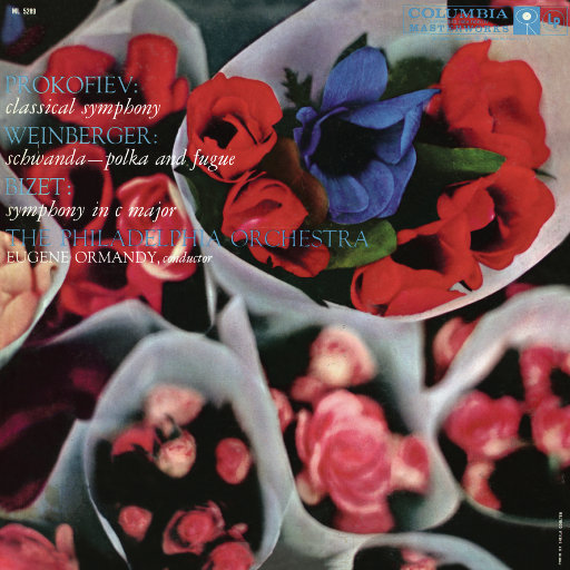 《丰满无知强制成长中!!!》
